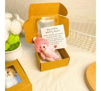 Mini orsacchiotto di peluche fatto a mano in scatola, orsetto in scatola My Little Worry Bears Mini Pocket Bears Hug peluche con carta di supporto edificante emotivo, morbido orsacchiotto fatto a mano