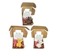 Mini orsacchiotto di peluche in scatola, My Little Worry Bears, mini orsetti tascabili con biglietto ispiratore, morbido orsacchiotto fatto a mano per gli amanti, simpatico regalo per simpatia