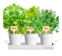 Mini Orto Urbano Vintage di Piante Aromatiche e Culinaria (Timo Coriandolo e Salvia) Semi Biologici dall'Europa - Kit Giardinaggio Regali per la casa - Coltivare le tue Erbe Aromatiche Fresche a casa