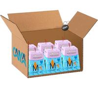 Mini Panettone Mare Fuori con Gocce di Cioccolato Panettoncino Soffice con Sorpresa, Confezione per Bauli 90g [CAIYA® BOX da 6 Pandorini]