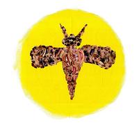 MINI POPS JUNIOR - KOMA