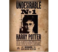 Mini puzzle Harry Potter 50 pezzi
