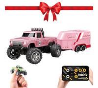 Mini RC Monster Truck, Mini Monster Trucks, 1/64 RC Car, Monsters Truck Remote Control Car with Lights (Pink)