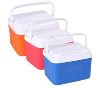 Mini refrigeratore, 5qt isolato, piccolo refrigeratore rigido, portatile piccola cassa del ghiaccio con manici, mini contenitore per il pranzo per spiaggia, picnic, campeggio, scatola rigida per il