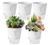 Mini Self Watering Pots, Nursery Plant Containers, 5 Pieces Grow Boxes with Water Level Indicator, Flower Pots, Planting Accessory with Modern Design, for Living Room Balcony Deck Porch Garden Yard