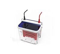 Mini Serbatoio Di Elettroforesi Verticale Laboratorio Elettroforesi Attrezzature Serbatoio Di Trasferimento Campione Di Proteine ricerca Scientifica Prova Strumento Di Elettroforesi