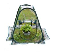 Mini serra da giardino portatile in PVC per giardino all'aperto Mini serra da