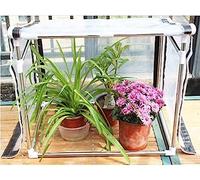 Mini Serra da Tavolo, Serra per Piccole Piante Serra per Piante Portatile Grow House con Porte con Cerniera Copertura Trasparente in PE Struttura Solida Facile da Installare per Interni Este