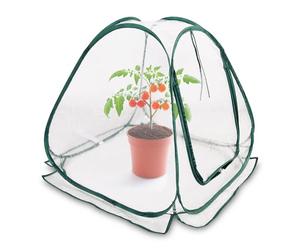 Mini Serra Pieghevole in Pellicola 60 x 60 cm - Piccola Serra per Ortaggi, Fiori e Funghi - Tenda Invernale Trasparente in PVC per Piante - Nessun Montaggio Necessario