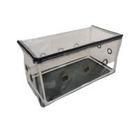 Mini serra portatile per piantare piante per serra da giardino su tetto