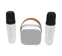 Mini Set di Macchine per Karaoke, Altoparlante Bluetooth Stereo Portatile con 2 Microfoni Wireless per Bambini Adulti, Spazio di Archiviazione Fino a 512 G, Microfono Portatile