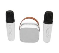 Mini Set di Macchine per Karaoke, Altoparlante Bluetooth Stereo Portatile con 2 Microfoni Wireless per Bambini Adulti, Spazio di Archiviazione Fino a 512 G, Microfono Portatile