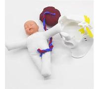 Mini Set di Modelli di Bambola per Parto con Feto/cordone Ombelicale/Placenta - Simulatore di Parto Bacino Femminile E Modello per Bambini per Display da Studio Modello Medico Didattico,Enchanting