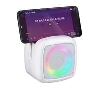 Mini Karaoke per Adulti e Bambini 2 Microfoni Wireless Altoparlante Bluetooth