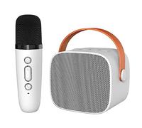 Mini Set per Karaoke, Altoparlante Bluetooth Portatile con Audio Surround HiFi con Microfono per Feste in Casa KTV Compleanno All'aperto, Set di Microfoni Familiari per (Bianco