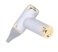 Mini Soffiatore Per Polvere, Asciugacapelli Senza Lama Ad Alta Velocità 60W 4 Livelli Vento Per La Casa Per Gatti Cani Per Il Campeggio (Argento)
