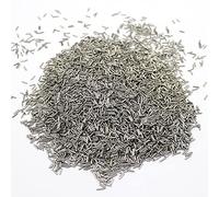Mini spilli magnetici in acciaio inox da 1000 g per lucidatura gioielli, strumenti per la pulizia dell'incisione, strumenti per lucidare gioielli (0,3 x 5 mm)