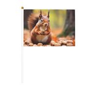 Mini Squiries alla ricerca di bandiere alimentari su bastone - 14 x 20,8 cm piccole bandiere USA per esterni, decorazioni 4 luglio, decorazione patriottica, asta per bandiera portatile, bandiere