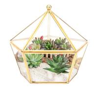 Mini terrario geometrico in vetro, supporto per piante d'aria da 6,3 pollici davanzale della finestra decorazione mensola fioriera vaso di Fiori in Vetro Piante Succulente Contenitore Cactus Felci