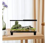 Mini terrario per rettili, contenitore per l'allevamento, piccolo