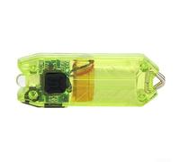 Mini torcia portatile ricaricabile USB 45lm LED Keychain torcia con doppia modalità (verde)
