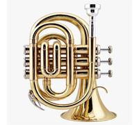 Mini tromba tascabile in Sib piatto strumento a fiato in ottone con bocchino, guanti, custodia in tessuto per la pulizia