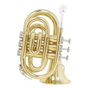 Mini Tromba Tascabile In Sib Piatto Strumento A Fiato Professionale In Ottone Con Custodia Per Cinturino In Tessuto Per Guanti