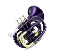 Mini Tromba Tascabile In Sib Strumento In Ottone Viola Tromba Professionale