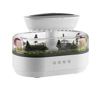 Mini Umidificatore Paesaggio Funzionamento Silenzioso 250ml per Ambiente Tranqui [EEK: A+]