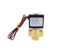 Mini valvola solenoide porta 1/4 di pollice 1 mm/1,5 mm/2,5 mm/4/5/6 mm normalmente aperto 12 V 220 V valvola di avviamento a pressione (DC24V_W1101X)