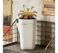 Mini vasi autoirriganti per piante da interni ed esterni, piccolo vaso da fiori in plastica bianca, foro di drenaggio, violette africane, alocasia, taglio, semina (grande, 11 x 6,5 x 6,5 cm)