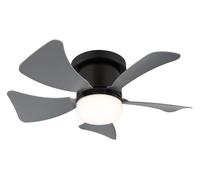 Mini Ventilatore con Telecomando Lampada LED Regolatore 13x40, 6cm Hines Nero [EEK: F]