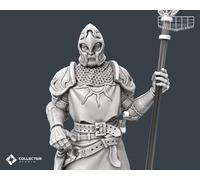 Miniatura Del Guardiano Della Città Con Lancia E Casco Per TTRPG Come D&D 5E