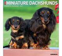Willow Creek Press, Just Miniature Bassotti 2027 Calendario da parete