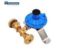 Minicentralina GPL per 2 bombole con regolatore pressione, portata 10 Kg - uscit