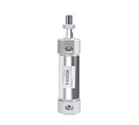 Minicilindro pneumatico in acciaio inox MG20/25/32/40-25X50X75X100X150X200S con magnete(MG20-150-S)