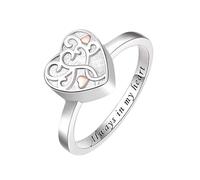 Minicremation Anello per urna di cremazione per ceneri da donna in acciaio inossidabile Love Heart Urna Anelli per ceneri Gioielli per la cremazione Cane Gatto Artiglio Urna Anello per gli amanti