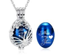 Minicremation Collana con ciondolo a forma di farfalla a goccia per ceneri in acciaio inox, mini urna per ricordi per donne e uomini, Misura unica, Acciaio inossidabile, Zirconia cubica