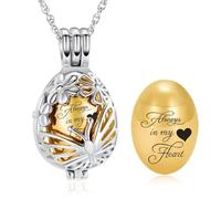 Minicremation Collana con Ciondolo a Forma di Urna a Goccia Farfalla per Ceneri in Acciaio Inox, Mini Urna Ricordo per Donne e Uomini, Ciondolo in Acciaio Inox per Cremazione, Gioielli di Ricordo