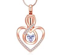 Minicremation Collana con urna a forma di cuore per cremazione, gioiello per donne, medaglione portafortuna con ciondolo a forma di cuore, medaglione commemorativo per ceneri umani/animali domestici,
