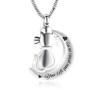 Minicremation Collana con urna per ceneri per ceneri con ciondolo commemorativo per ceneri per gatti, Acciaio inossidabile, non