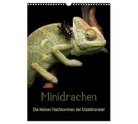 Minidrachen - Die kleinen Nachkommen der Urzeitmonster (Wandkalender 2026 DIN A3 hoch), CALVENDO Monatskalender: Die kleinen Verwandten der Urzeitmonster in ihrer beeindruckenden Farbenvielfalt