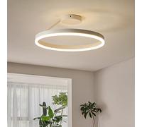 minifair Plafoniera moderna a LED per ristoranti di design nordico Semplice a cerchio singolo bianco Lampada da soffitto per montaggio a incasso Camera da letto Cucina Illuminazione domestica