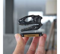 Minifigure Dinosauro Fukuiraptor Skull Mini Modello Preferito Nuovo