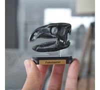 Minifigure Dinosauro Fukuisaurus Skull Mini Modello Preferito Nuovo