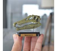 Minifigure Dinosauro Spinosaurus Skull Mini Modello Preferito Nuovo