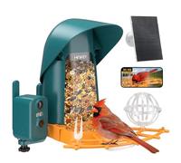 Minikey Mangiatoia intelligente per uccelli con telecamera per esterni, 4 MP Ultra HD e intelligenza artificiale identificano oltre 11000 specie, grande capacità da 2 litri, alimentato a energia