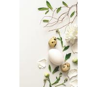 Minimalist Spring Journal: Elegant Notebook with Floral Design (6x9, 100 Lined Pages)