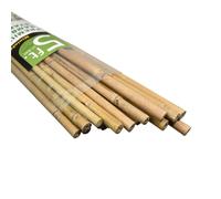Mininfa Canne di bambù naturale, 1,5 m, paletti in bambù, ecologici, per piante da giardino, supporti per arrampicata per pomodori, alberi, fagioli, confezione da 20