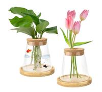 MININUSI 2 Pezzi Vaso in Vetro Trasparente,Stazioni per la Propagazione delle Piante con Tappo e Vassoio in Legno,Vasi per Fiori in Vetro Trasparente per Coltura Idroponica,Fiori,Ornamentali,330ML
